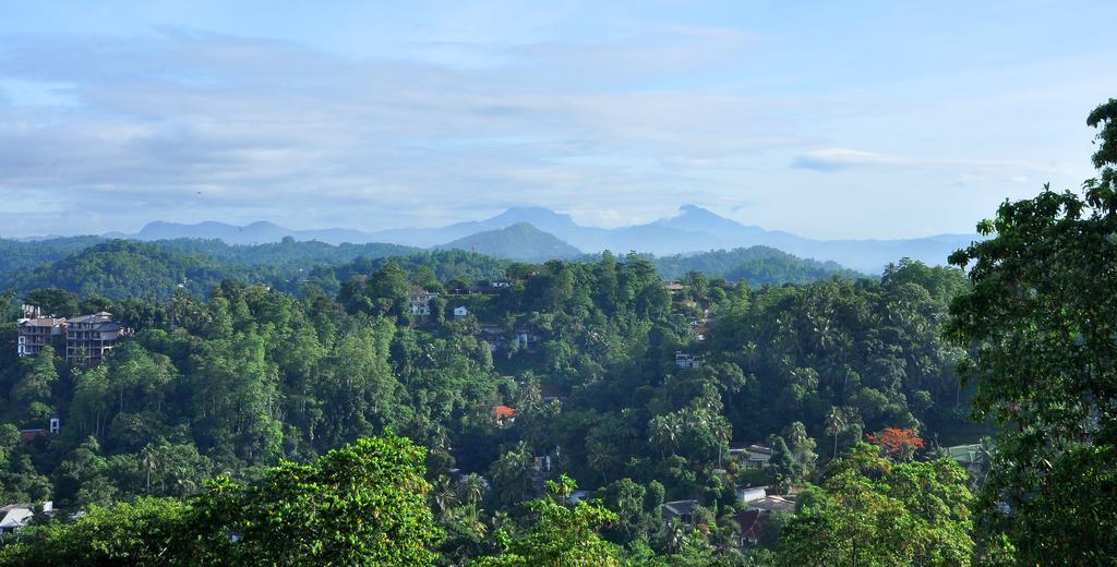 Primrose Inn Kandy Cameră foto